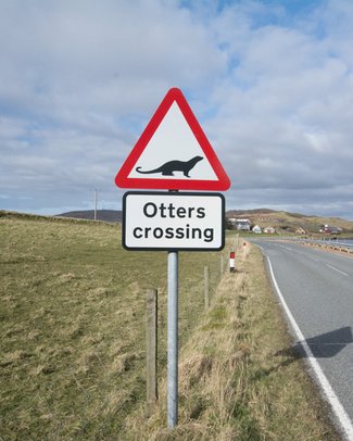 Otters Crossing