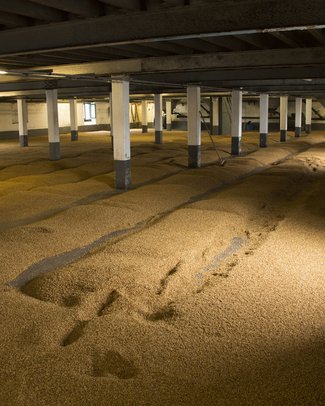 Laphroaig Distillery Malting