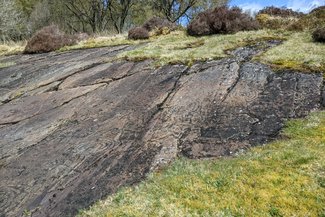 Rock Art, Achnabreac Forest