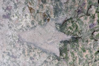 Staffin Dinosaur Footprints