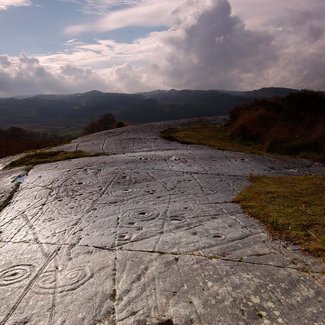 Achnabreck Forest