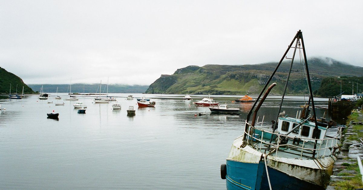 wildlife boat trips west coast scotland