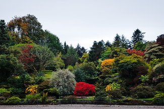 Mount Stuart Gardens Bute