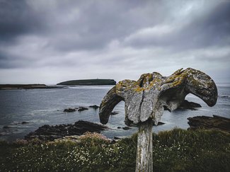 The Birsay Whalebone